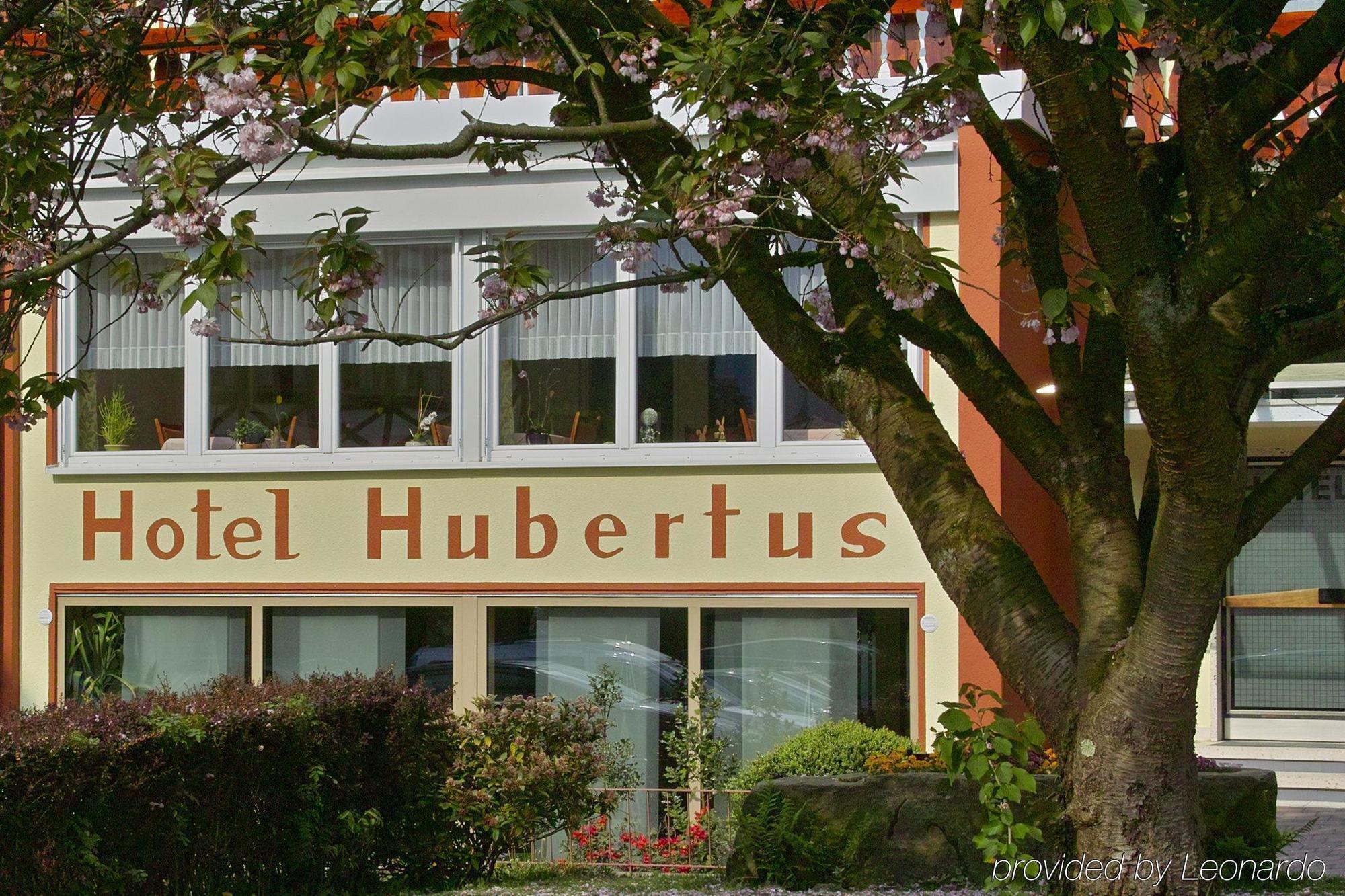 Akzent Hubertus Ξενοδοχείο Bad Peterstal-Griesbach Εξωτερικό φωτογραφία